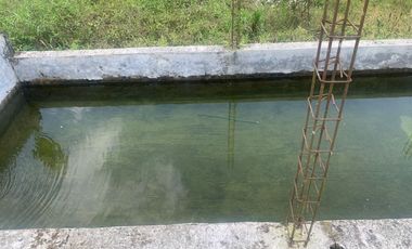 Oportunidad Finca de 15,5 há, Nanegal $ 160.000