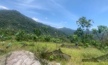 Oportunidad Finca de 15,5 há, Nanegal $ 160.000