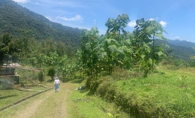 Oportunidad Finca de 15,5 há, Nanegal $ 160.000