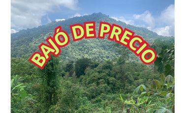 Oportunidad Finca de 15,5 há, Nanegal $ 160.000