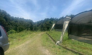 Oportunidad Finca de 15,5 há, Nanegal $ 160.000
