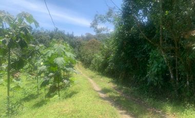 Oportunidad Finca de 15,5 há, Nanegal $ 160.000