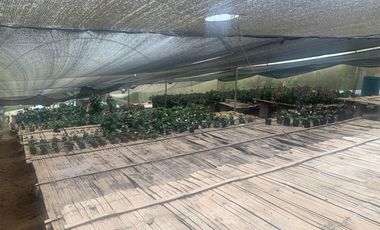 Oportunidad Finca de 15,5 há, Nanegal $ 160.000