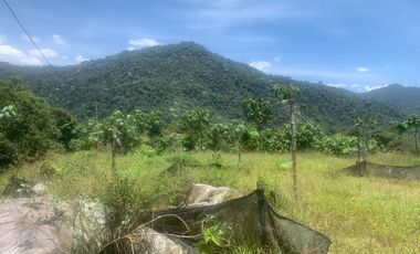 Oportunidad Finca de 15,5 há, Nanegal $ 160.000