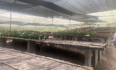 Oportunidad Finca de 15,5 há, Nanegal $ 160.000