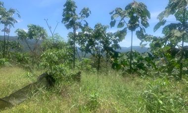Oportunidad Finca de 15,5 há, Nanegal $ 160.000