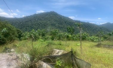 Oportunidad Finca de 15,5 há, Nanegal $ 160.000
