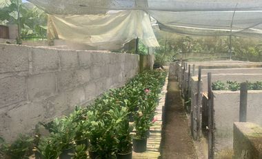 Oportunidad Finca de 15,5 há, Nanegal $ 160.000