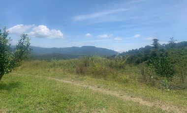 Oportunidad Finca de 15,5 há, Nanegal $ 160.000