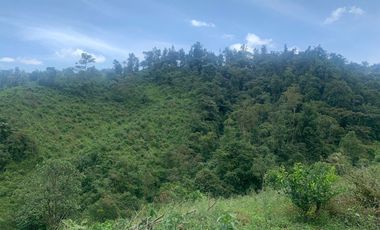 Oportunidad Finca de 15,5 há, Nanegal $ 160.000