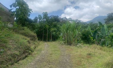 Oportunidad Finca de 15,5 há, Nanegal $ 160.000
