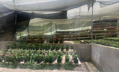 Oportunidad Finca de 15,5 há, Nanegal $ 160.000