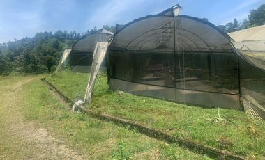 Oportunidad Finca de 15,5 há, Nanegal $ 160.000