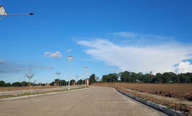 The Newly Opened Lots for Sale in Orchard Phase 5B, Dasmarinas, Cavite