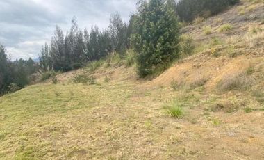 Oportunidad terreno en venta 8.000m2 con frente a la Autopista Descanso - Azogues