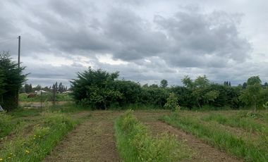 Parcela con Plantación de Arándanos en Retiro
