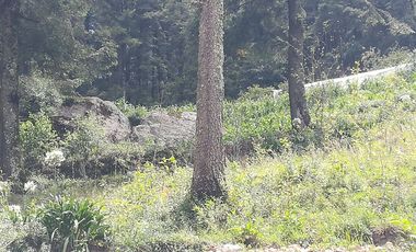 TERRENO EN VENTA “CARBONERAS -MINERAL DEL CHICO”