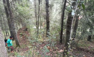 TERRENO EN VENTA “CARBONERAS -MINERAL DEL CHICO”