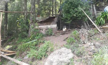 TERRENO EN VENTA “CARBONERAS -MINERAL DEL CHICO”