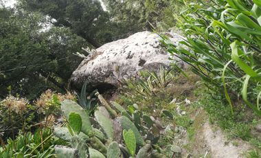 TERRENO EN VENTA “CARBONERAS -MINERAL DEL CHICO”