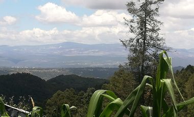 TERRENO EN VENTA “CARBONERAS -MINERAL DEL CHICO”