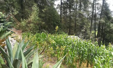 TERRENO EN VENTA “CARBONERAS -MINERAL DEL CHICO”