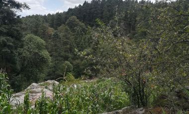 TERRENO EN VENTA “CARBONERAS -MINERAL DEL CHICO”