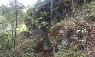 TERRENO EN VENTA “CARBONERAS -MINERAL DEL CHICO”