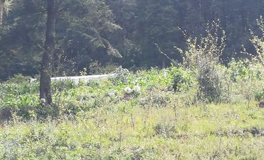 TERRENO EN VENTA “CARBONERAS -MINERAL DEL CHICO”