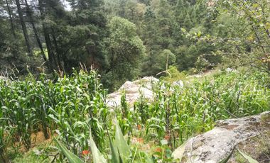 TERRENO EN VENTA “CARBONERAS -MINERAL DEL CHICO”