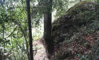 TERRENO EN VENTA “CARBONERAS -MINERAL DEL CHICO”