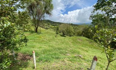 En venta hemosa hacienda de 20.000Mts2 en la vereda san José - Silvania.