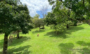 En venta hemosa hacienda de 20.000Mts2 en la vereda san José - Silvania.