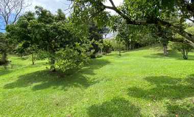 En venta hemosa hacienda de 20.000Mts2 en la vereda san José - Silvania.