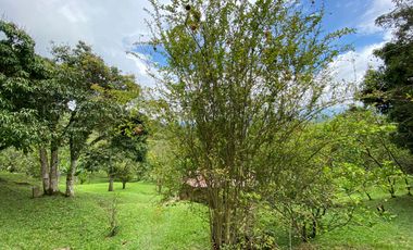 En venta hemosa hacienda de 20.000Mts2 en la vereda san José - Silvania.