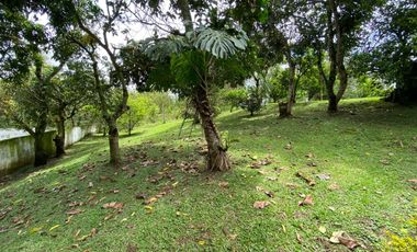 En venta hemosa hacienda de 20.000Mts2 en la vereda san José - Silvania.