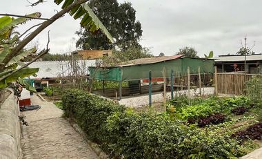 CASA DE CAMPO EN PACHACAMAC