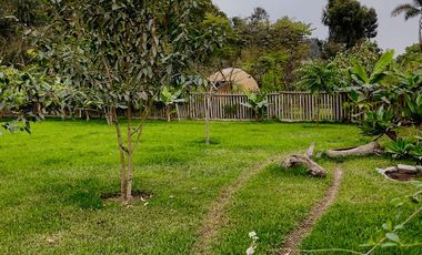 CASA DE CAMPO EN PACHACAMAC