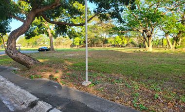 Best Deal 700 Sqm Corner Lot For Sale in Manila Southwoods 1.5 KM from Southwoods Exit