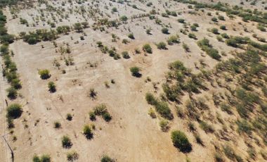 Terreno baldío en venta en San pedro el Saucito,Sonora