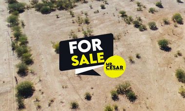 Terreno baldío en venta en San pedro el Saucito,Sonora
