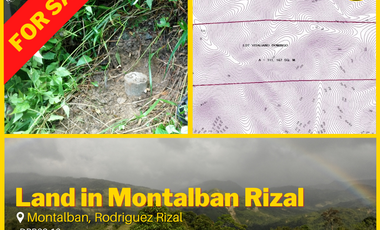 FOR SALE: 11 Hectare Property in San Isidro Montalban, Rodriguez Rizal