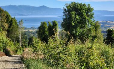 Excelente Parcela de 2ha con acceso a playa en lago Ranco, Futrono