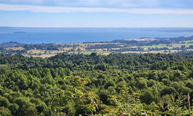 Excelente Parcela de 2ha con acceso a playa en lago Ranco, Futrono