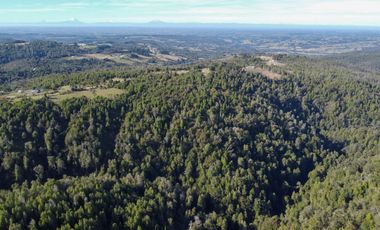 Campo en venta en Estación Río Frio de 40,6 Hectáreas, El Mañio