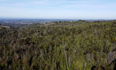 Campo en venta en Estación Río Frio de 40,6 Hectáreas, El Mañio