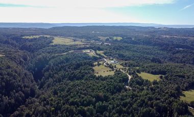 Campo en venta en Estación Río Frio de 40,6 Hectáreas, El Mañio