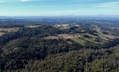 Campo en venta en Estación Río Frio de 40,6 Hectáreas, El Mañio