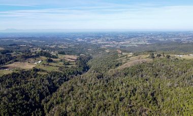 Campo en venta en Estación Río Frio de 40,6 Hectáreas, El Mañio