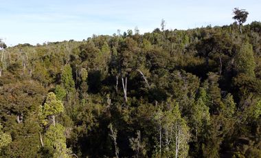 Campo en venta en Estación Río Frio de 40,6 Hectáreas, El Mañio